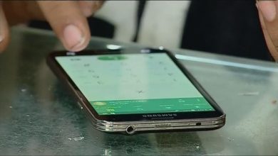 Mobile users in Egypt