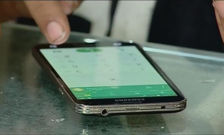 Mobile users in Egypt