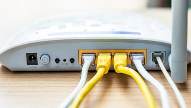 The development of the fixed Internet infrastructure in Egypt