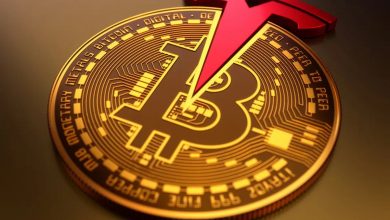 Bitcoin and Tesla