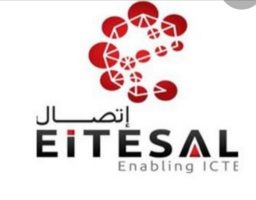 اتصال تدعم الشركات المصرية في التوسع خارجيا