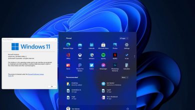 Windows 11