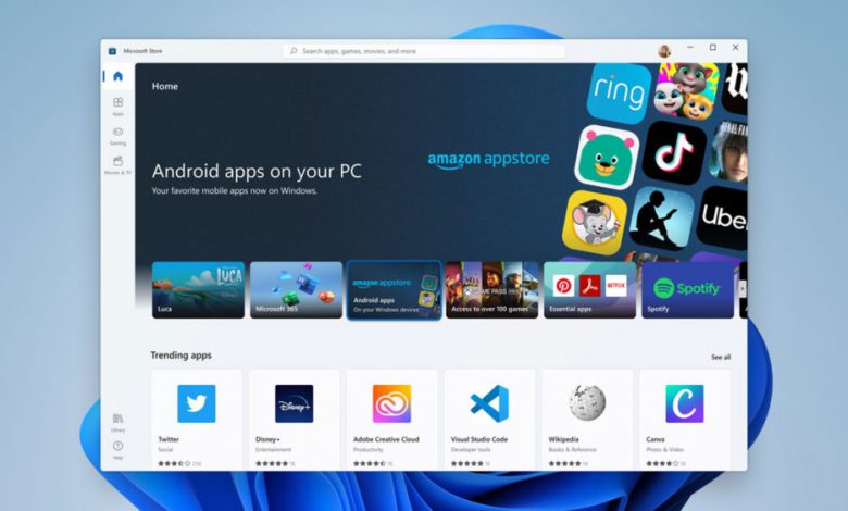 Windows 11