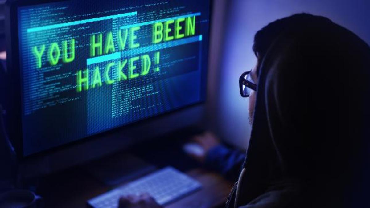 12 عصابة رقمية تهدد مصر